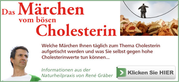 Buch: Cholesterin Märchen von rené Gräber