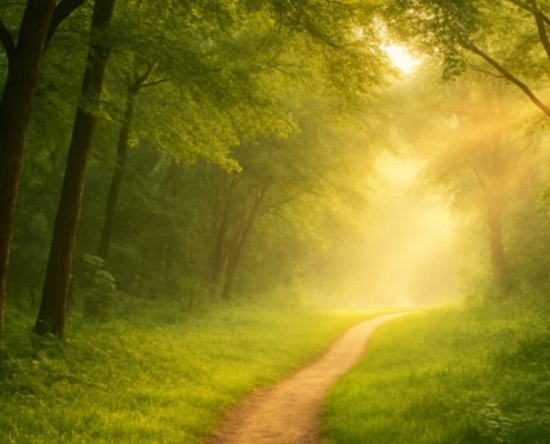 Sonnendurchfluteter Waldweg als Symbol für den Weg zur Gesundheit, umgeben von grünem Laub und weichem Licht.